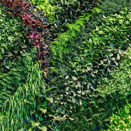 Balcony Conversion Roof Terrace Designer Builders Contractor Balcony Flat Roof Conversion