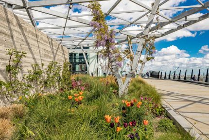 Commercial roof garden design builders contractors in London.