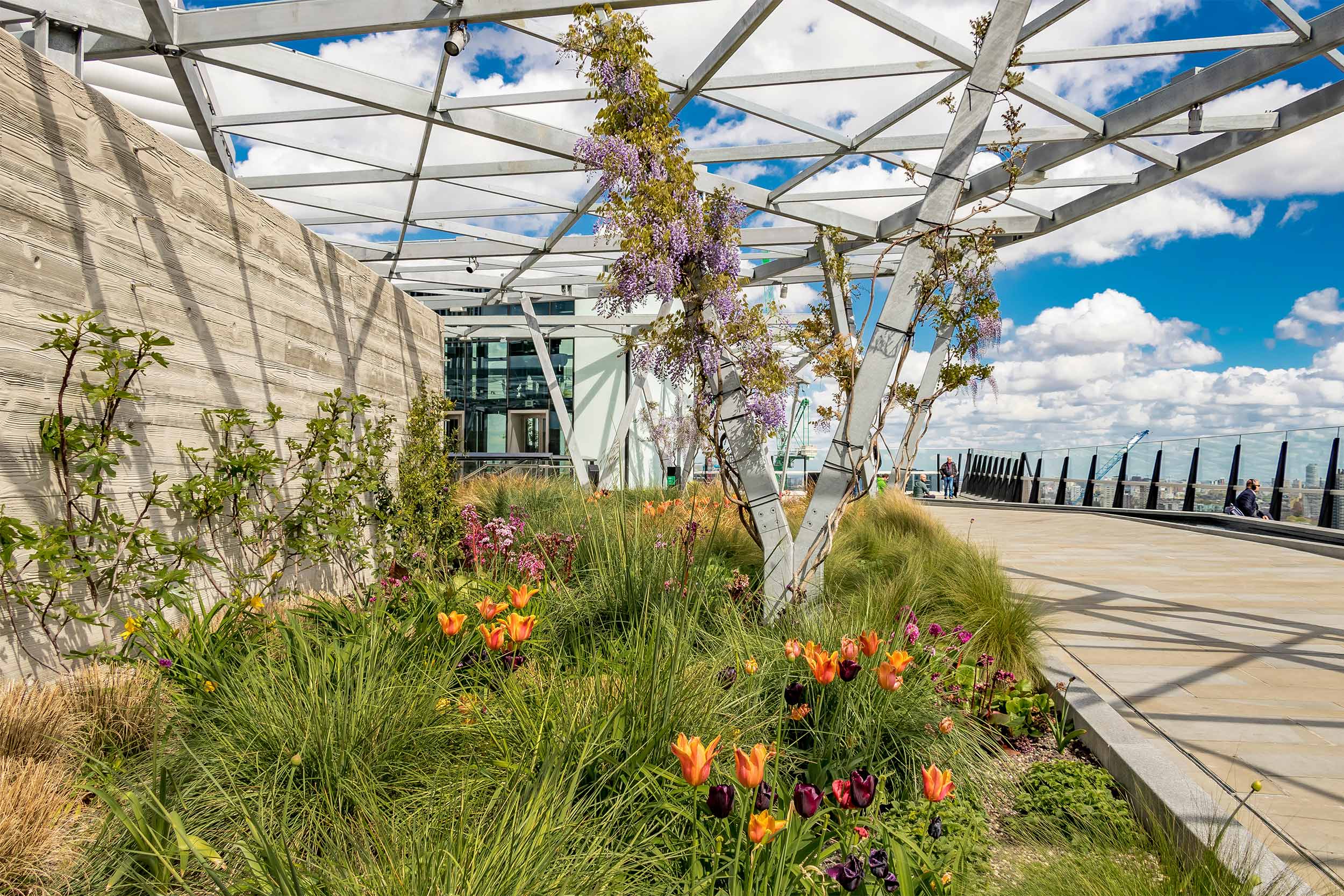Commercial Roof Garden