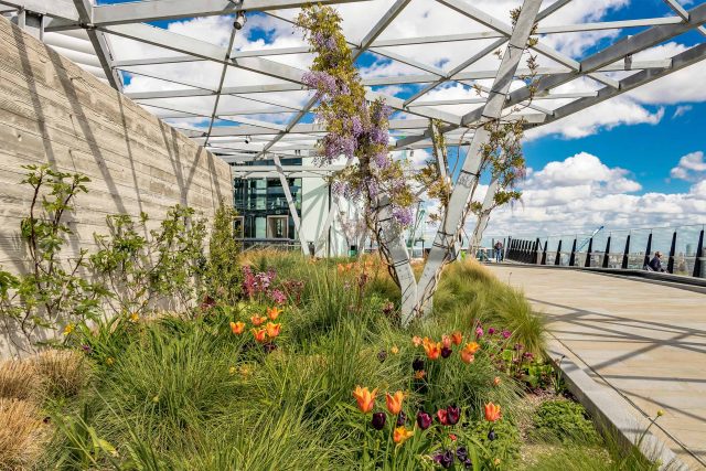 Flat Roofer London Outdoor Planting Irigation Systems Roof Gardens Roofer near me Specialist Company Roof Terrace Construction Design Builders